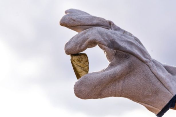 Carlos Alberto Arges Junior