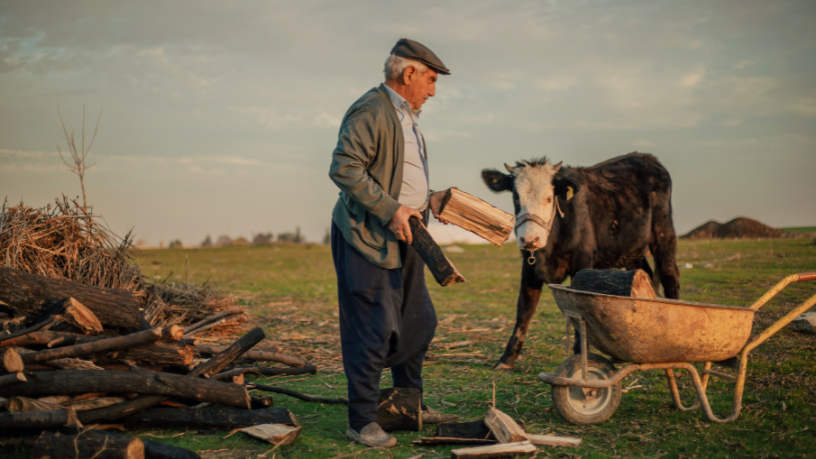 Agropecuária Grama Roxa Ltda