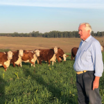 Gestão ambiental na fazenda virou requisito estratégico para competitividade, observa Aldo Vendramin.