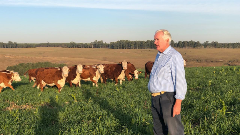Gestão ambiental na fazenda virou requisito estratégico para competitividade, observa Aldo Vendramin.