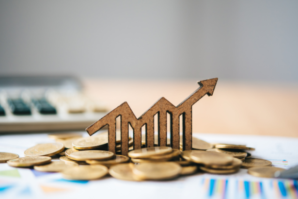 Pedro Daniel Magalhães