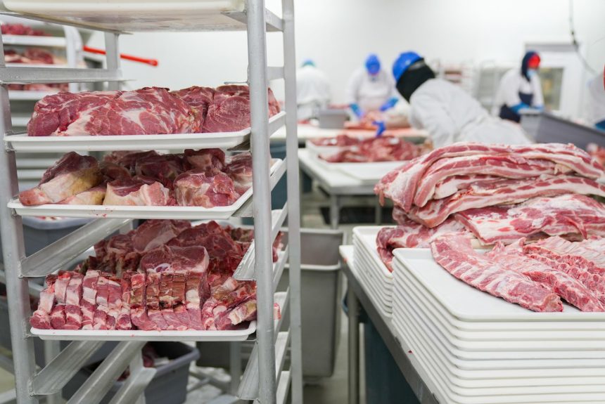 Trabalhadores manuseiam cortes de carne em bandejas em uma unidade industrial de processamento de alimentos.