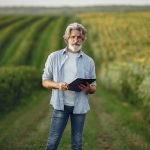 Agricultor maduro usa um tablet em meio a uma plantação de girassóis.