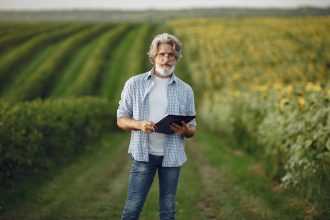 Agricultor maduro usa um tablet em meio a uma plantação de girassóis.