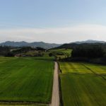 Vista aérea de áreas agrícolas verdes e uma estrada de terra em Massaranduba, Santa Catarina.