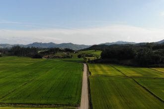 Vista aérea de áreas agrícolas verdes e uma estrada de terra em Massaranduba, Santa Catarina.