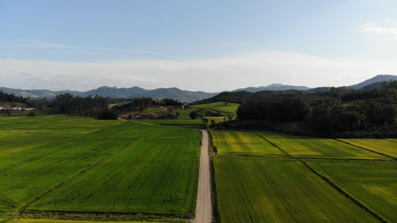 Vista aérea de áreas agrícolas verdes e uma estrada de terra em Massaranduba, Santa Catarina.